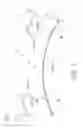 Fig. 06 - Golf club head