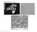 Fig. 03 - THERMOPLASTIC FORMULATIONS FOR ENHANCED PAINTABILITY, TOUGHNESS AND MELT PROCESSABILITY