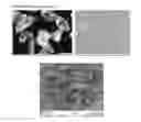 Fig. 05 - THERMOPLASTIC FORMULATIONS FOR ENHANCED PAINTABILITY, TOUGHNESS AND MELT PROCESSABILITY