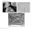 Fig. 09 - THERMOPLASTIC FORMULATIONS FOR ENHANCED PAINTABILITY, TOUGHNESS AND MELT PROCESSABILITY