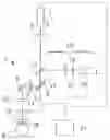 Fig. 01 - Apparatus and method for material processing using a transparent contact element