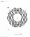 Fig. 09 - Grindstone