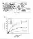 Fig. 24 - Host cells and methods for producing isopentenol from mevalonate