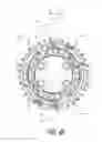 Fig. 49 - Bicycle sprocket