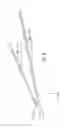 Fig. 09 - Airplane wing