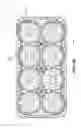 Fig. 44 - Beverage crate