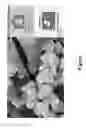 Fig. 02 - Process for the production of titanium dioxide, and titanium dioxide obtained thereby