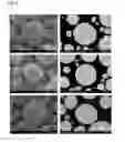 Fig. 06 - Nickel-manganese composite hydroxide, method for producing the same, positive electrode active material for nonaqueous electrolyte secondary battery, method for producing the same, and nonaqueous electrolyte secondary battery