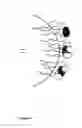 Fig. 07 - Method for removing heavy metals from an aqueous solution