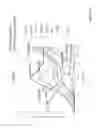 Fig. 49 - Medium chain fatty acid esters of beta-hydroxybutyrate and butanediol and compositions and methods for using same