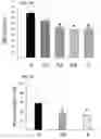 Fig. 09 - Non-selective kinase inhibitors