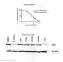 Fig. 02 - Benzothiophene-based selective mixed estrogen receptor downregulators