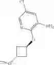 Fig. 1069 - TYK2 inhibitors and uses thereof