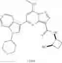 Fig. 197 - TYK2 inhibitors and uses thereof