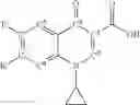 Fig. 06 - Antibacterial agents based on ciprofloxacin derivatives