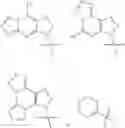Fig. 167 - Cyclic dinucleotides as anticancer agents