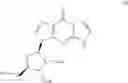 Fig. 294 - Cyclic dinucleotides as anticancer agents