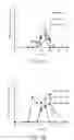 Fig. 08 - PROLIPOSOMAL TESTOSTERONE UNDECANOATE FORMULATIONS