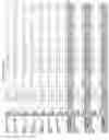 Fig. 2441 - Methods of treating cardiovascular disease with an anti-ASGR antibody or binding fragments thereof