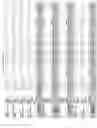 Fig. 2469 - Methods of treating cardiovascular disease with an anti-ASGR antibody or binding fragments thereof