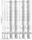 Fig. 2497 - Methods of treating cardiovascular disease with an anti-ASGR antibody or binding fragments thereof