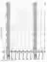 Fig. 2675 - Methods of treating cardiovascular disease with an anti-ASGR antibody or binding fragments thereof