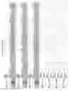 Fig. 2707 - Methods of treating cardiovascular disease with an anti-ASGR antibody or binding fragments thereof