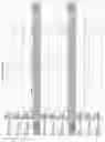 Fig. 2729 - Methods of treating cardiovascular disease with an anti-ASGR antibody or binding fragments thereof