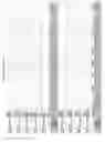 Fig. 2785 - Methods of treating cardiovascular disease with an anti-ASGR antibody or binding fragments thereof