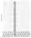 Fig. 2837 - Methods of treating cardiovascular disease with an anti-ASGR antibody or binding fragments thereof