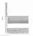 Fig. 2976 - Methods of treating cardiovascular disease with an anti-ASGR antibody or binding fragments thereof