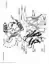 Fig. 30 - Methods of treating cardiovascular disease with an anti-ASGR antibody or binding fragments thereof