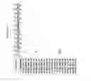 Fig. 3014 - Methods of treating cardiovascular disease with an anti-ASGR antibody or binding fragments thereof
