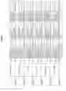 Fig. 303 - Methods of treating cardiovascular disease with an anti-ASGR antibody or binding fragments thereof