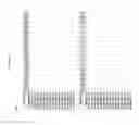 Fig. 3030 - Methods of treating cardiovascular disease with an anti-ASGR antibody or binding fragments thereof
