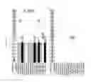 Fig. 3076 - Methods of treating cardiovascular disease with an anti-ASGR antibody or binding fragments thereof