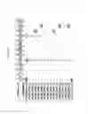 Fig. 3092 - Methods of treating cardiovascular disease with an anti-ASGR antibody or binding fragments thereof