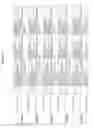 Fig. 337 - Methods of treating cardiovascular disease with an anti-ASGR antibody or binding fragments thereof