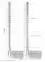 Fig. 3541 - Methods of treating cardiovascular disease with an anti-ASGR antibody or binding fragments thereof
