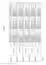 Fig. 412 - Methods of treating cardiovascular disease with an anti-ASGR antibody or binding fragments thereof