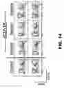 Fig. 15 - MODULATING AUTOIMMUNE DIABETES BY REDUCING OR REMOVING THE RESIDENT MACROPHAGES OF THE ISLETS OF LANGERHANS