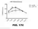 Fig. 19 - MODULATING AUTOIMMUNE DIABETES BY REDUCING OR REMOVING THE RESIDENT MACROPHAGES OF THE ISLETS OF LANGERHANS