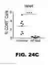 Fig. 29 - MODULATING AUTOIMMUNE DIABETES BY REDUCING OR REMOVING THE RESIDENT MACROPHAGES OF THE ISLETS OF LANGERHANS
