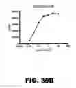 Fig. 43 - MODULATING AUTOIMMUNE DIABETES BY REDUCING OR REMOVING THE RESIDENT MACROPHAGES OF THE ISLETS OF LANGERHANS