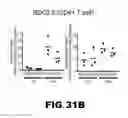 Fig. 45 - MODULATING AUTOIMMUNE DIABETES BY REDUCING OR REMOVING THE RESIDENT MACROPHAGES OF THE ISLETS OF LANGERHANS