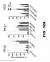 Fig. 48 - MODULATING AUTOIMMUNE DIABETES BY REDUCING OR REMOVING THE RESIDENT MACROPHAGES OF THE ISLETS OF LANGERHANS
