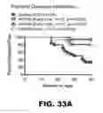 Fig. 50 - MODULATING AUTOIMMUNE DIABETES BY REDUCING OR REMOVING THE RESIDENT MACROPHAGES OF THE ISLETS OF LANGERHANS