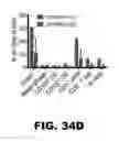 Fig. 56 - MODULATING AUTOIMMUNE DIABETES BY REDUCING OR REMOVING THE RESIDENT MACROPHAGES OF THE ISLETS OF LANGERHANS
