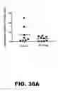 Fig. 60 - MODULATING AUTOIMMUNE DIABETES BY REDUCING OR REMOVING THE RESIDENT MACROPHAGES OF THE ISLETS OF LANGERHANS