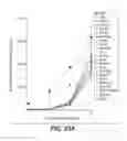 Fig. 45 - Antibodies binding to HLA-A2/WT1